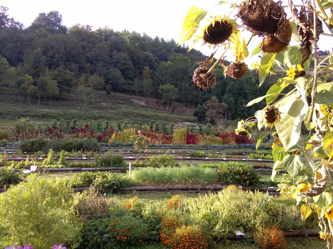 La Valle Della BioDiversità Garden - The Italian Guest